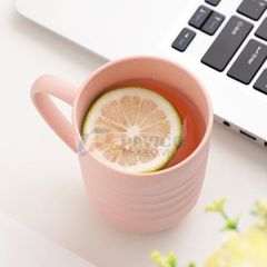 Cốc nhựa sinh học có quai 300ml 500ml pastel uống nước