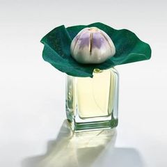 Mendittorosa Mauna Extrait De Parfum