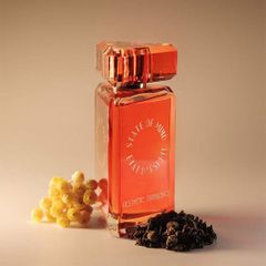 State of Mind Aesthetic Turbulence EDP