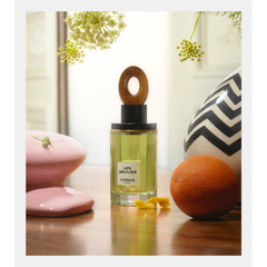 Ormaie Paris Les Brumes EDP
