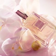 Ex Nihilo My Sweetest Morphine EDP