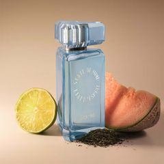 State of Mind Open Mind EDP