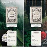 (TẶNG 3 MASK NÂNG CƠ DEWYCEL) Giấy thơm OPTATUM Paper Incense