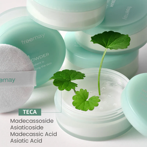 Phấn Phủ Kiềm Dầu Dạng Bột Freemay No-Sebum Mineral Powder hỗ trợ che phủ lỗ chân lông 5g