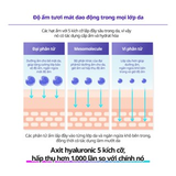 Kem dưỡng Dewycel Ampule Cream