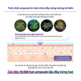 Kem dưỡng Dewycel Ampule Cream