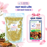  Hạt ngò lớn 
