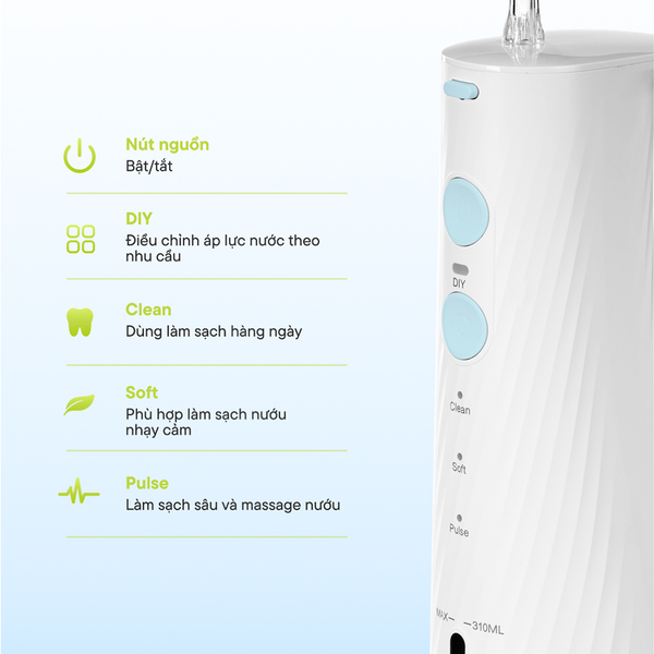 Inno Care Water Flosser