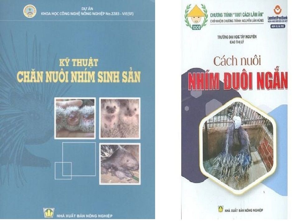  Combo Cách Nuôi Nhím Đuôi Ngắn - KT Chăn Nuôi Nhím Sinh Sản 