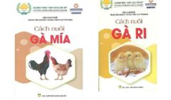  Combo Cách Nuôi Gà Ri + Cách Nuôi Gà Mía ( 2 Cuốn ) 