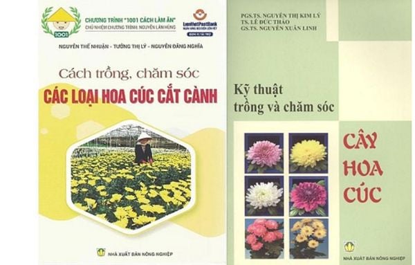 Combo Cách Trồng Chăm Sóc Các Loại Hoa Cúc Cắt Cành - Kỹ Thuật Trồng Và Chăm Sóc Cây Hoa Cúc - NXB Nông Nghiệp