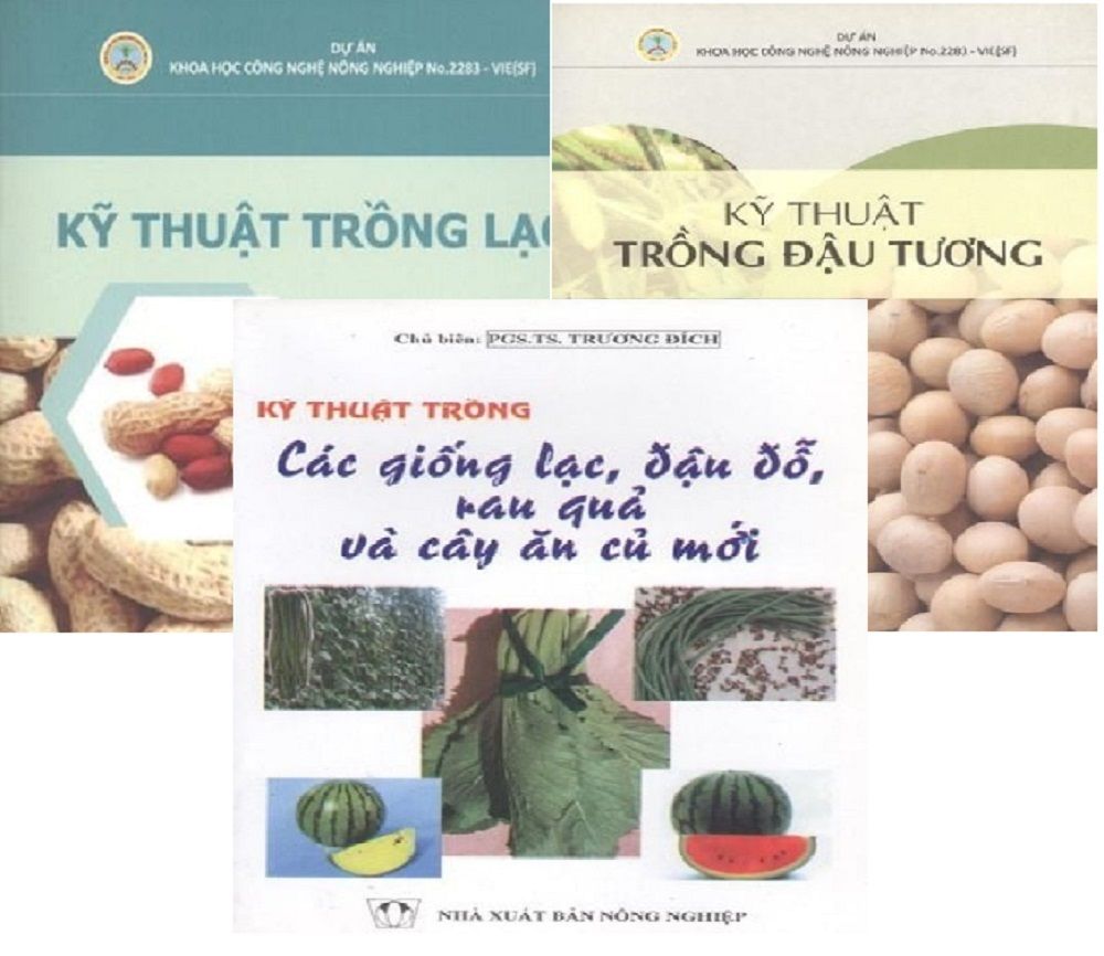  Comboo - Kỹ Thuật Trồng Đậu Tương - Kỹ Thuật Trồng Lạc - Kỹ Thuật Trồng Các Giống Lạc, Đậu Đổ, Rau Quả Cà Cây Ăn Củ Mới ( 3 Quyển ) 