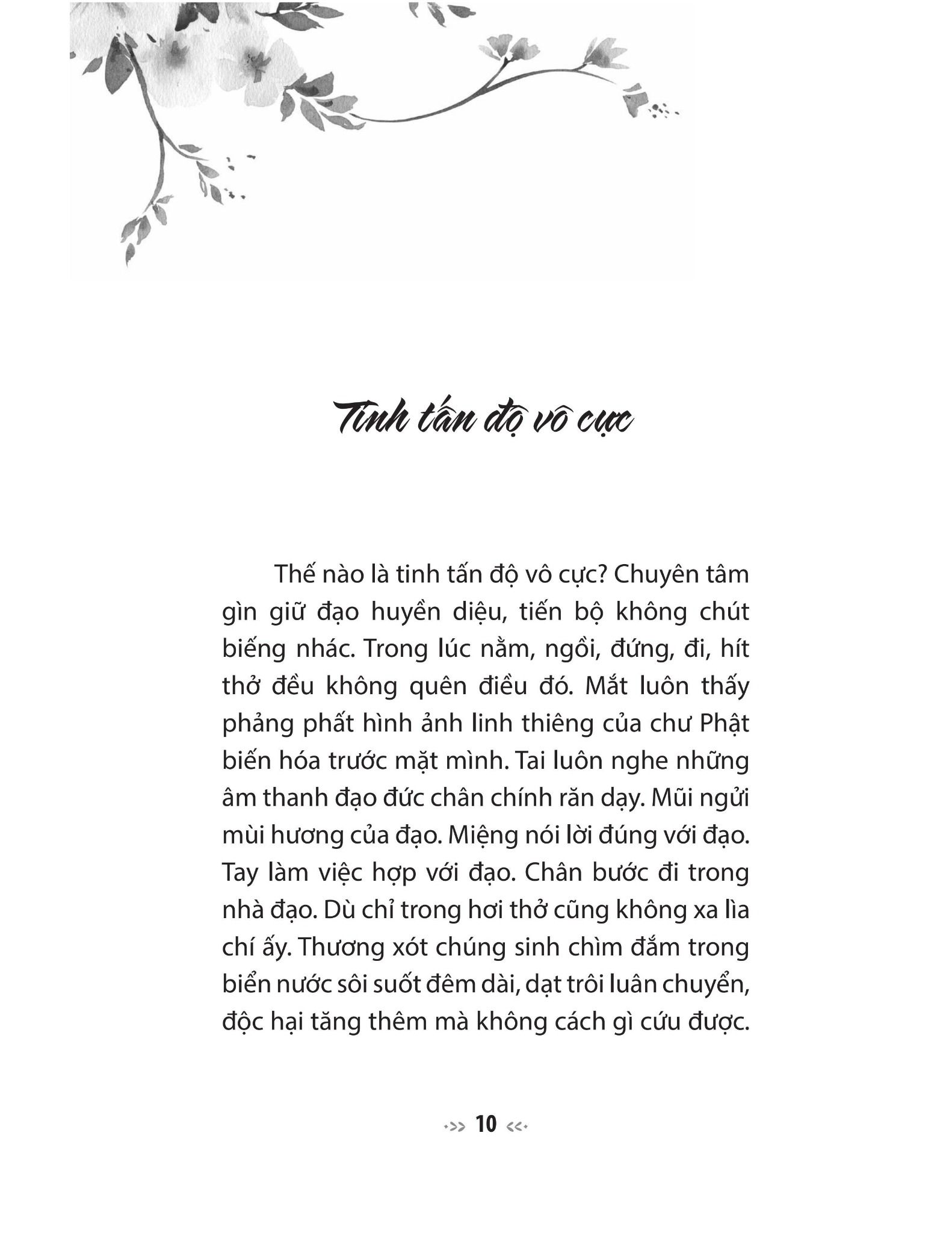  Lục Độ Tập Kinh - Truyện Tiền Thân Của Đức Phật - Tinh Tấn, Thiền Định Và Trí  Tuệ 