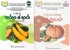  Combo Cách Trồng Bí Ngô - Cách Trồng Bí Ngòi 