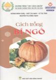  Combo Cách Trồng Bí Ngô - Cách Trồng Bí Ngòi 