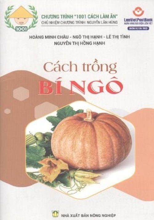  Combo Cách Trồng Bí Ngô - Cách Trồng Bí Ngòi 