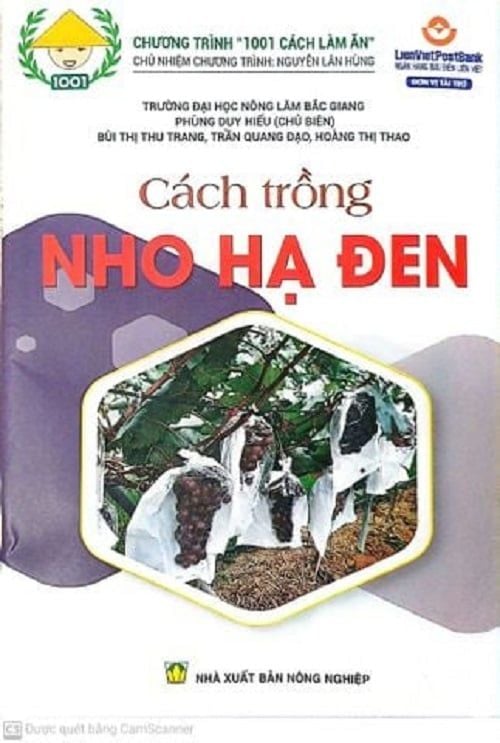  Combo Cách Trồng Nho Hạ Đen - Cách Trồng Rong Nho Biển Trong Bể 