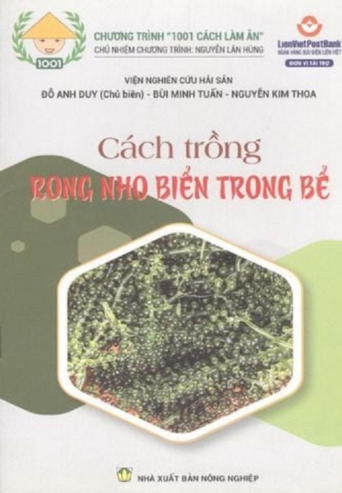  Combo Cách Trồng Nho Hạ Đen - Cách Trồng Rong Nho Biển Trong Bể 