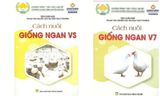 Sách - Cách Nuôi Giống Ngan V7 + Cách Nuôi Giống Ngan VS ( 2 cuốn ) 