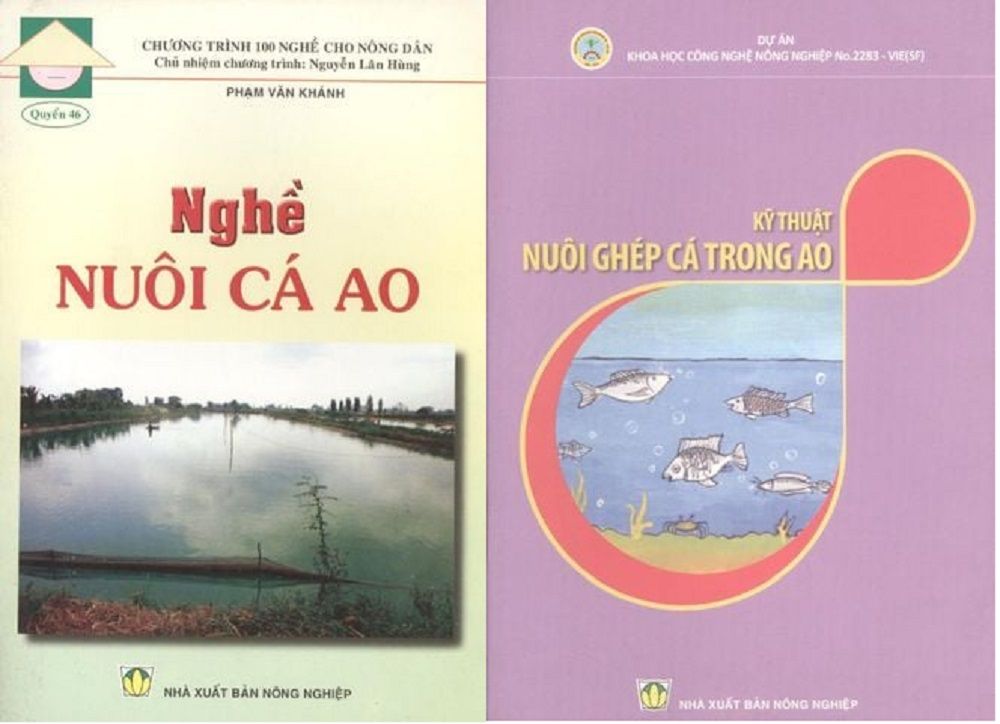  Combo Nghề Nuôi Cá Ao - Nuôi Ghép Cá Trong Ao 