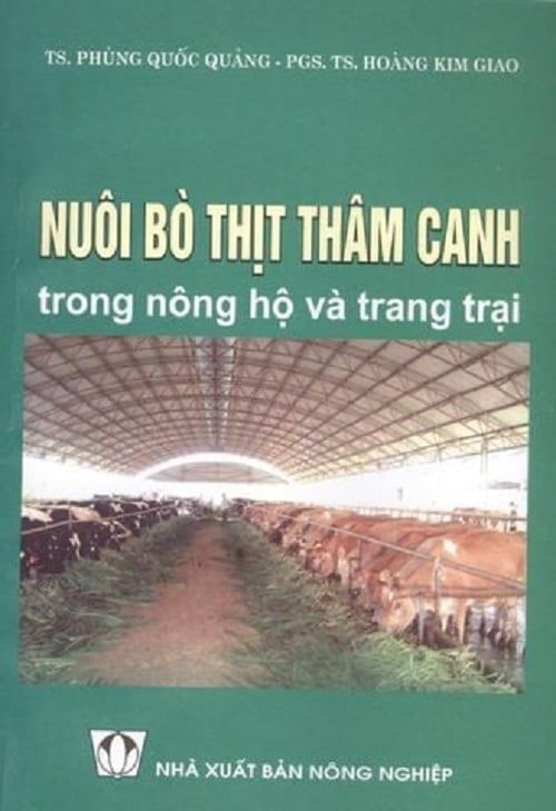 Combo KT Nuôi Bò Lấy Thịt - Nuôi Bò Thịt Thâm Canh 