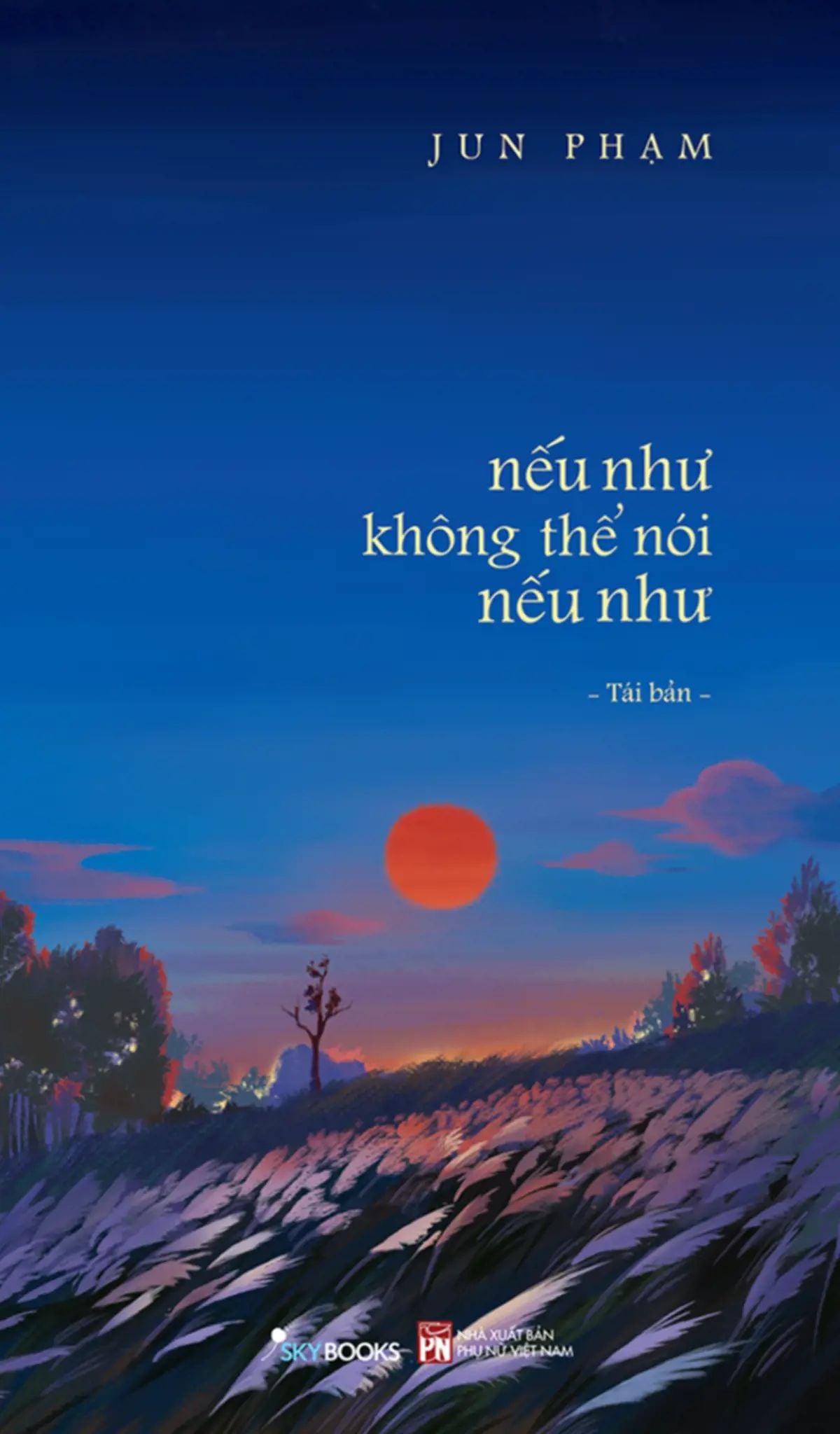  Nếu Như Không Thể Nói Nếu Như (Tái Bản 2025) 