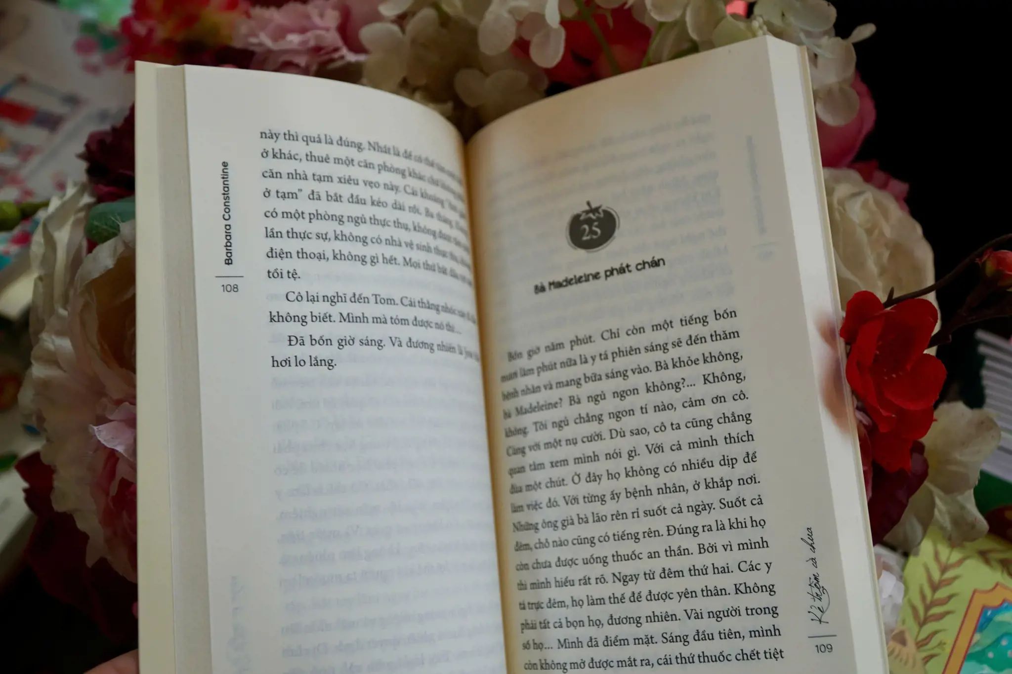  Kẻ Trộm Cà Chua 