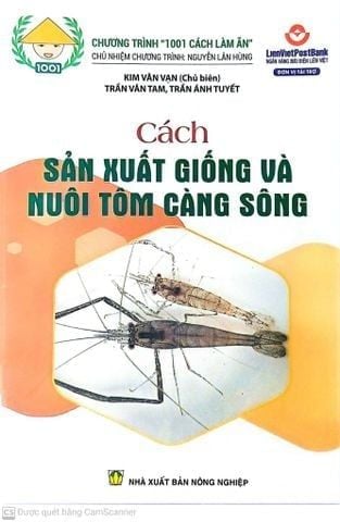  Combo 3 Sách Nuôi Tôm: Tôm Hùm – Tôm Càng Xanh – Tôm Càng Sông | Hướng Dẫn Kỹ Thuật Nuôi Hiệu Quả 