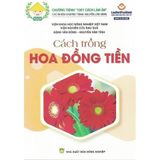  Combo Sách Trồng Hoa Đón Xuân – 6 Tựa Tạo Không Gian Tết Rực Rỡ 