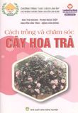  Combo Sách Trồng Hoa Đón Xuân – 6 Tựa Tạo Không Gian Tết Rực Rỡ 