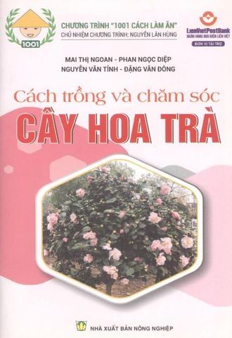  Combo Sách Trồng Hoa Đón Xuân – 6 Tựa Tạo Không Gian Tết Rực Rỡ 