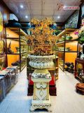  Quà Tặng Chậu Hoa Lan 25 cành mạ vàng 24K kích thước cao 1m28cm 