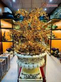 Quà Tặng Chậu Hoa Lan 25 cành mạ vàng 24K kích thước cao 1m28cm 