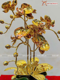  Quà Tặng Chậu Hoa Lan 3 cành mạ vàng 24K kích thước cao 37cm 