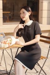 Váy Thiết Kế Dáng A Đen Phối Cổ Ren YAME YV741