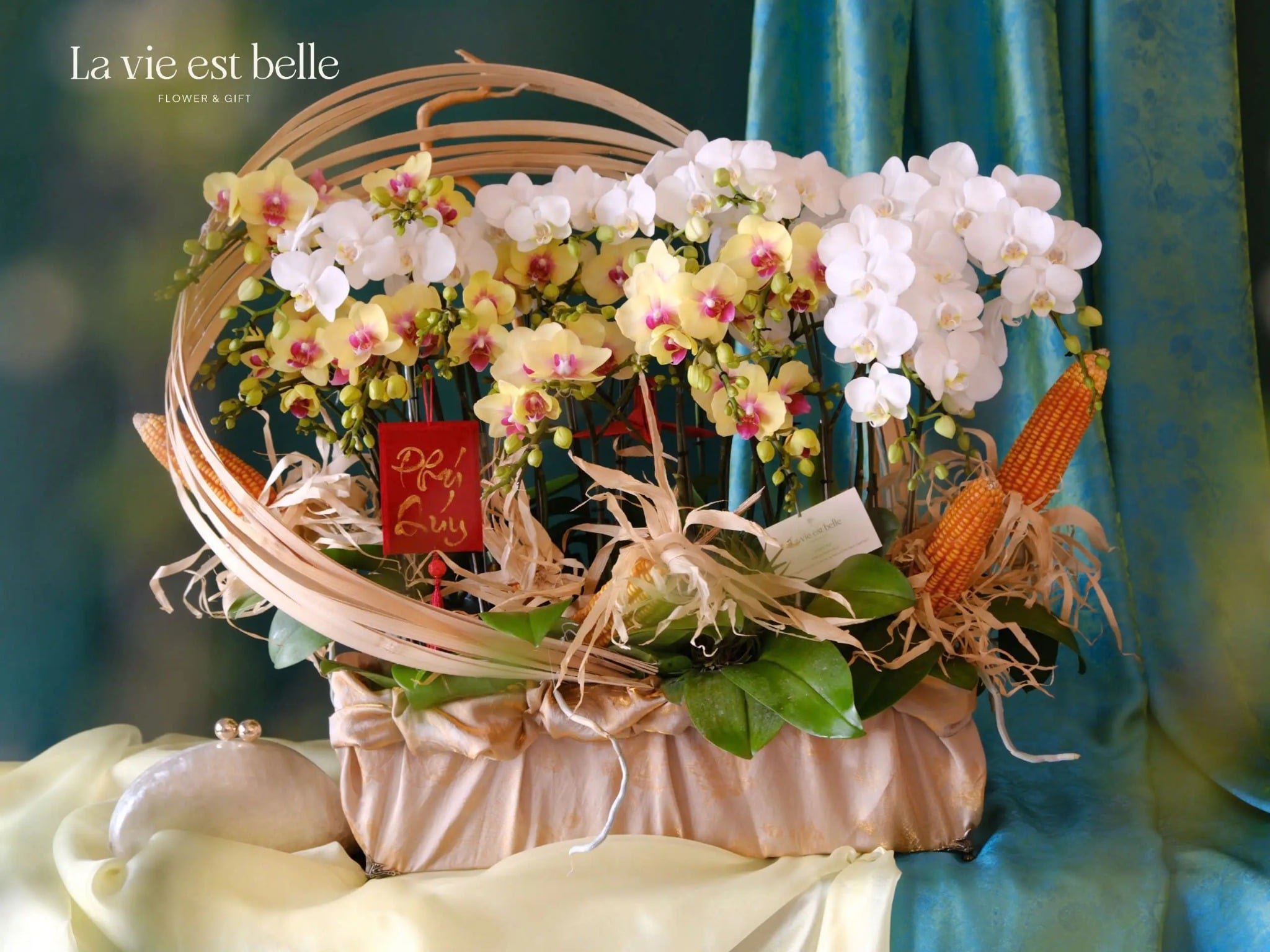 Xuân Phúc Tràn Đầy