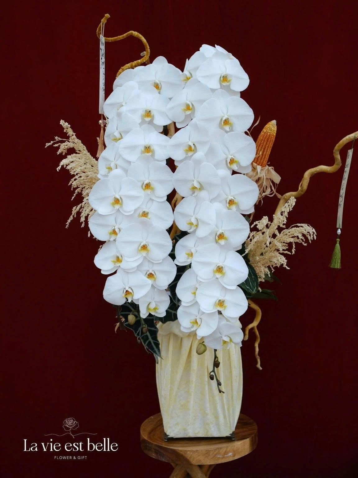 Ngự Quang