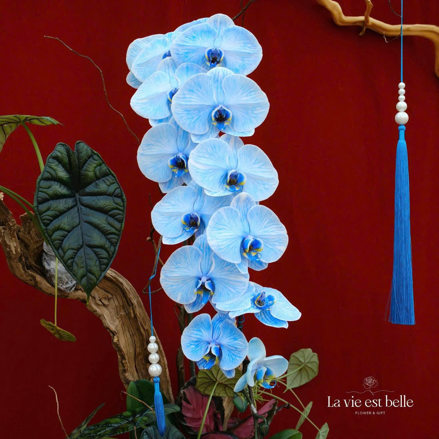 Diễm Ngự