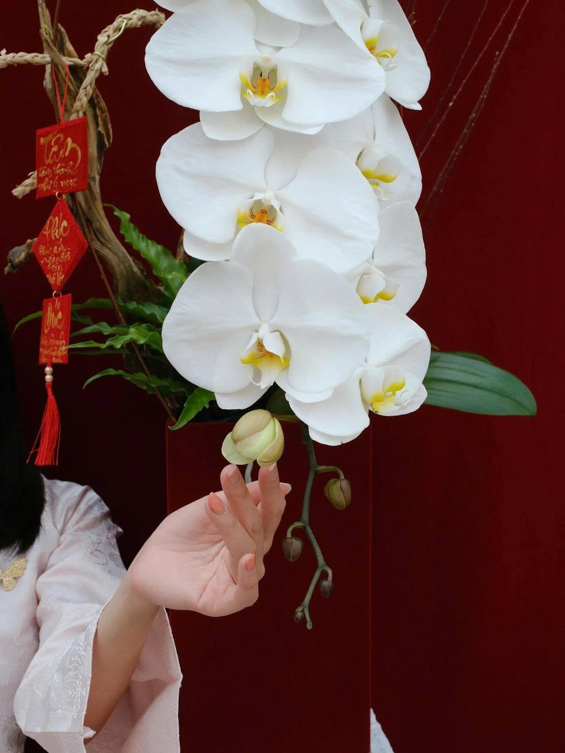 Hoàng Vũ