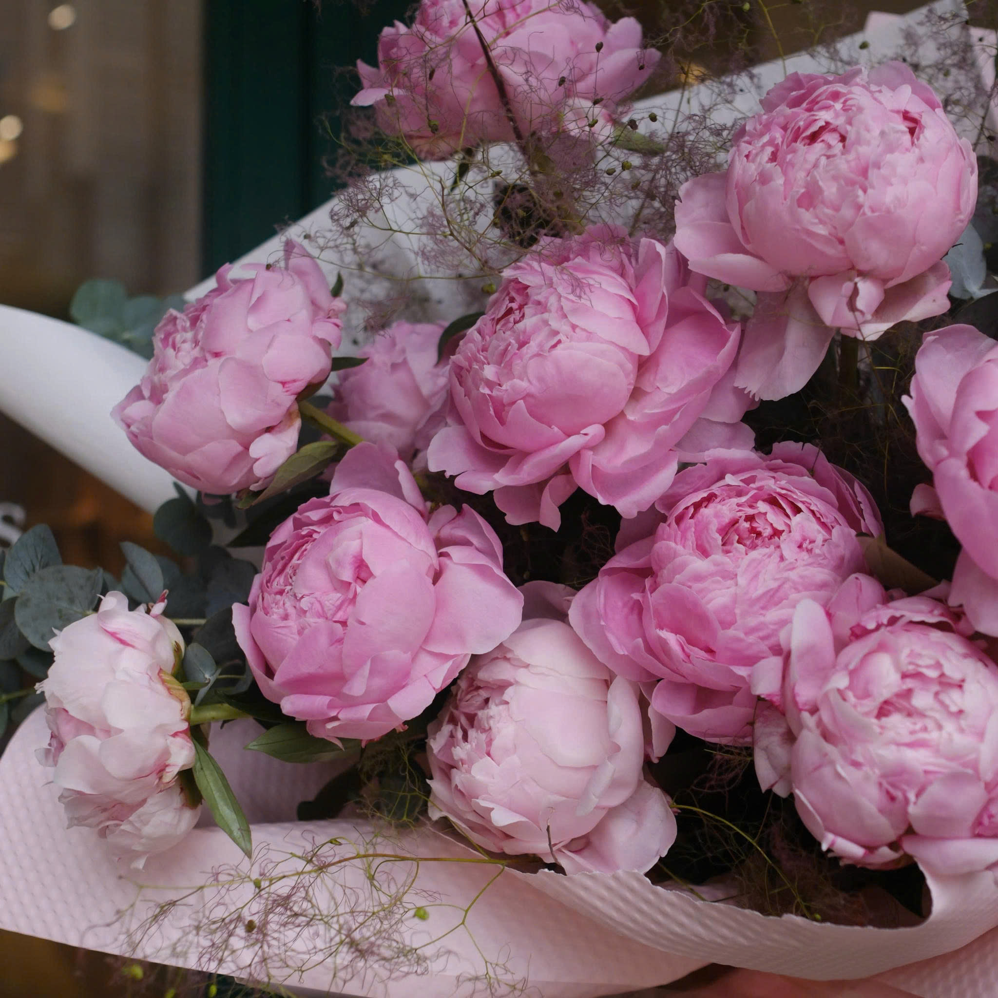 Lovely Petals