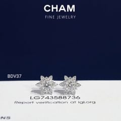 Hoa Tai BDV37 Vàng 10k Chủ 4.0mm Kim Cương Lab Grown Diamond