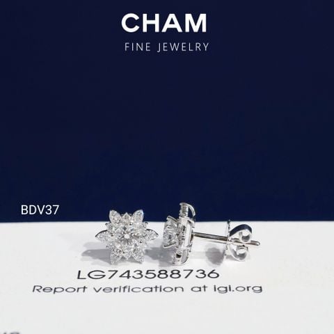 Hoa Tai BDV37 Vàng 10k Chủ 4.0mm Kim Cương Lab Grown Diamond