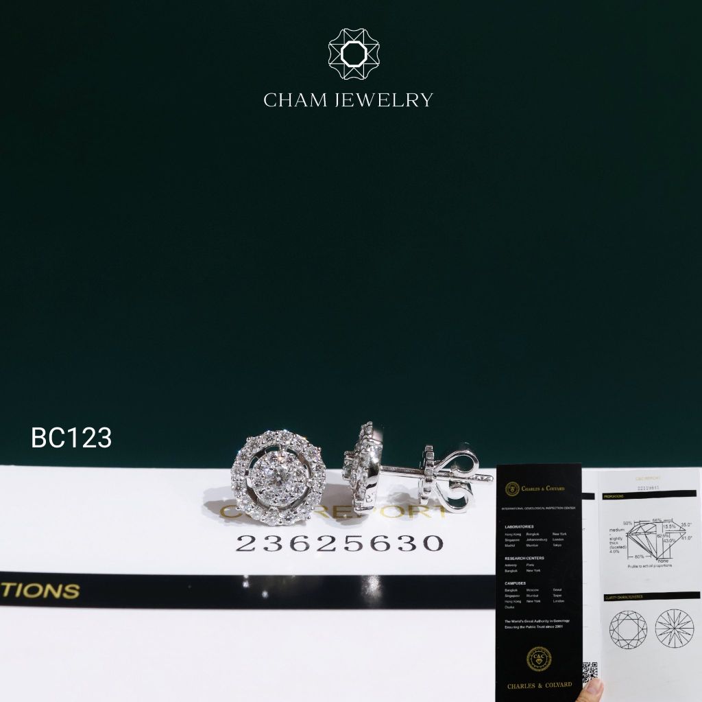 Hoa Tai CHAM JEWELRY BC123, Hoa Tai Full Moissanite Chủ 2.5mm (OCB58 )
