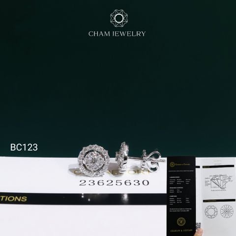 Hoa Tai CHAM JEWELRY BC123, Hoa Tai Full Moissanite Chủ 2.5mm (OCB58 )