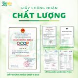  COMBO DƯỠNG LÀNH - Cốt Mật 11 Loại Thảo Mộc  + Nghệ Mật Ong Sachi 