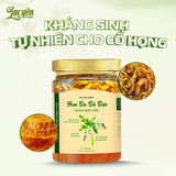  Hoa Đu Đủ Ngâm Mật Ong 