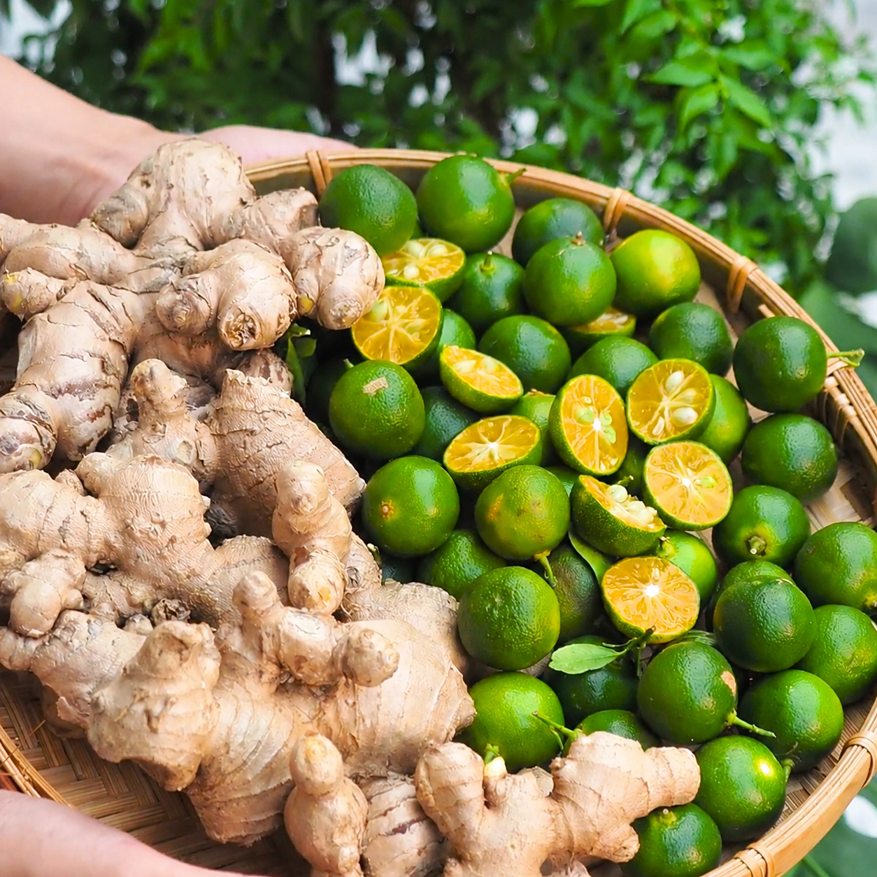 COMBO YÊN LÀNH - Cốt Mật 11 Loại Thảo Mộc + Tắc gừng Mật Ong + Quà Tặng 