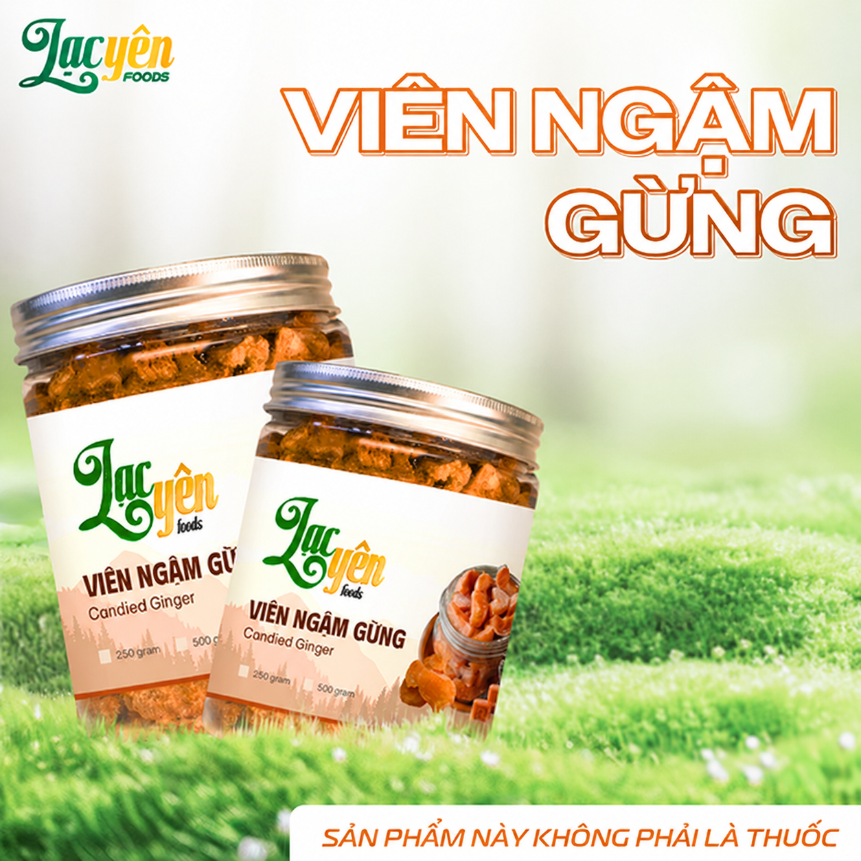  Viên Ngậm Gừng Gió Lạc Yên Foods 