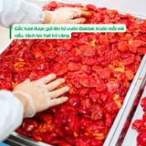 Gấc Tươi Chanh Leo Lạc Yên Foods 