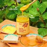  COMBO THANH LÀNH - Nghệ Mật Ong Sachi + Hắc Mè An Cung 